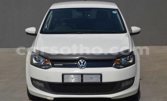 اشتري مستعمل Volkswagen Polo White سيارة في Hlotse في Leribe اشتري مستعمل Volkswagen Polo White سيارة في Hlotse في Leribe