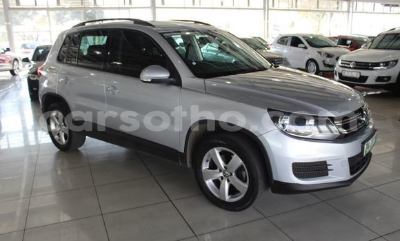 Buy Used Volkswagen Tiguan Silver Car in Butha–Buthe in Thaba-Tseka Buy Used Volkswagen Tiguan Silver Car in Butha–Buthe in Thaba-Tseka