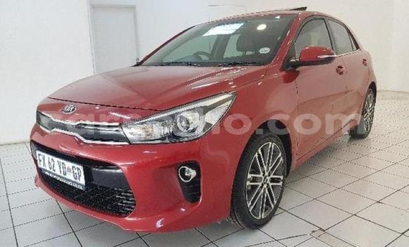 Buy Used Kia Rio Red Car in Mafeteng in Mafeteng Buy Used Kia Rio Red Car in Mafeteng in Mafeteng