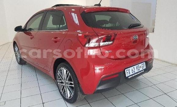 Buy Used Kia Rio Red Car in Mafeteng in Mafeteng Buy Used Kia Rio Red Car in Mafeteng in Mafeteng