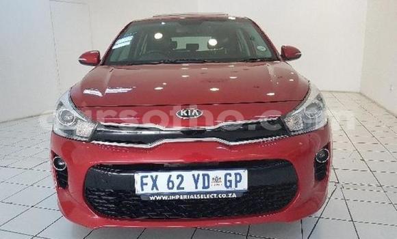 Buy Used Kia Rio Red Car in Mafeteng in Mafeteng Buy Used Kia Rio Red Car in Mafeteng in Mafeteng