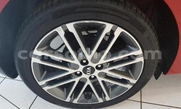 Buy Used Kia Rio Red Car in Mafeteng in Mafeteng Buy Used Kia Rio Red Car in Mafeteng in Mafeteng