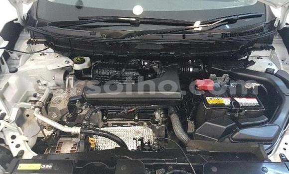 اشتري مستعمل Nissan X–Trail White سيارة في Maseru في Maseru اشتري مستعمل Nissan X–Trail White سيارة في Maseru في Maseru