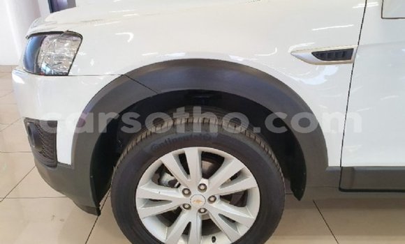 اشتري مستعمل Chevrolet Captiva Other سيارة في Butha–Buthe في Thaba-Tseka اشتري مستعمل Chevrolet Captiva Other سيارة في Butha–Buthe في Thaba-Tseka