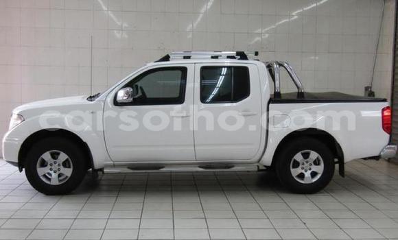 اشتري مستعمل Nissan Navara White سيارة في Butha–Buthe في Thaba-Tseka اشتري مستعمل Nissan Navara White سيارة في Butha–Buthe في Thaba-Tseka