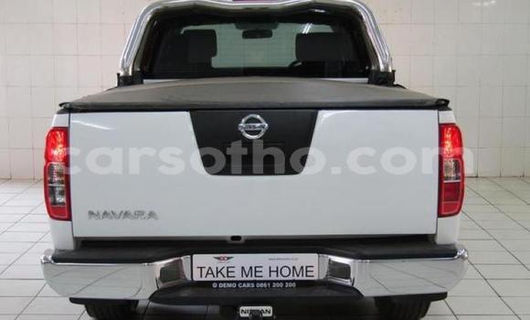 اشتري مستعمل Nissan Navara White سيارة في Butha–Buthe في Thaba-Tseka اشتري مستعمل Nissan Navara White سيارة في Butha–Buthe في Thaba-Tseka