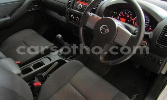 اشتري مستعمل Nissan Navara White سيارة في Butha–Buthe في Thaba-Tseka اشتري مستعمل Nissan Navara White سيارة في Butha–Buthe في Thaba-Tseka