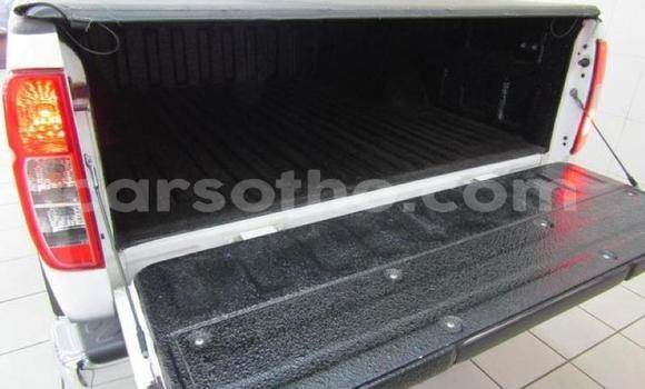 اشتري مستعمل Nissan Navara White سيارة في Butha–Buthe في Thaba-Tseka اشتري مستعمل Nissan Navara White سيارة في Butha–Buthe في Thaba-Tseka