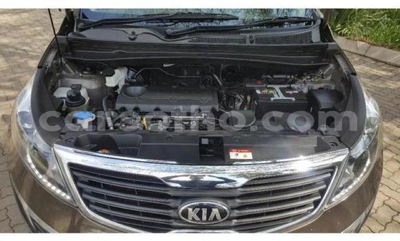اشتري مستعمل Kia Sportage Other سيارة في Maseru في Maseru اشتري مستعمل Kia Sportage Other سيارة في Maseru في Maseru
