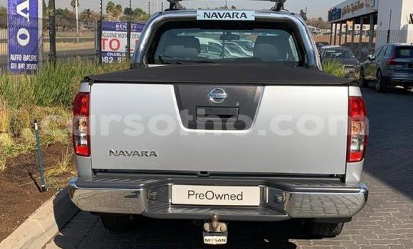 اشتري مستعمل Nissan Navara Other سيارة في Butha–Buthe في Thaba-Tseka اشتري مستعمل Nissan Navara Other سيارة في Butha–Buthe في Thaba-Tseka