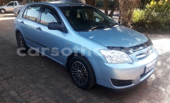 Acheter Occasion Voiture Toyota Runx Autre à Maseru, Maseru Acheter Occasion Voiture Toyota Runx Autre à Maseru, Maseru