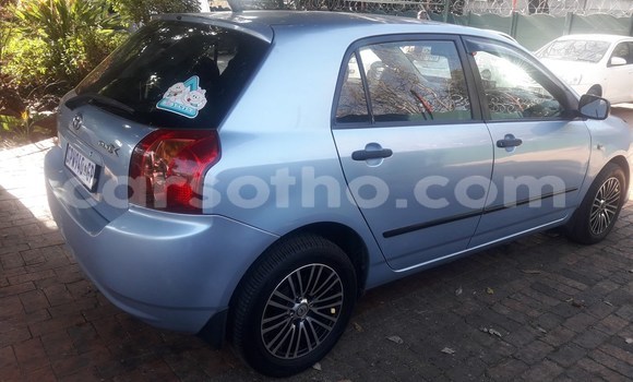 Acheter Occasion Voiture Toyota Runx Autre à Maseru, Maseru Acheter Occasion Voiture Toyota Runx Autre à Maseru, Maseru