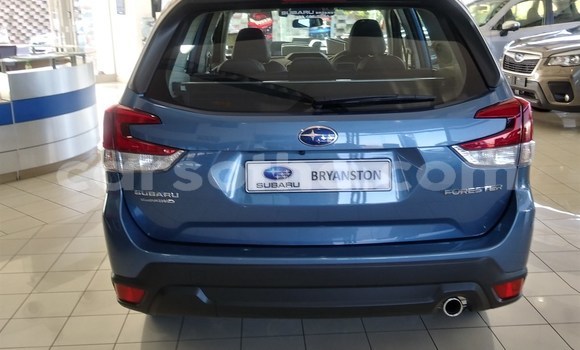 اشتري مستعمل Subaru Forester Other سيارة في Maseru في Maseru اشتري مستعمل Subaru Forester Other سيارة في Maseru في Maseru