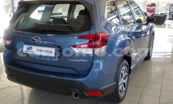 اشتري مستعمل Subaru Forester Other سيارة في Maseru في Maseru اشتري مستعمل Subaru Forester Other سيارة في Maseru في Maseru