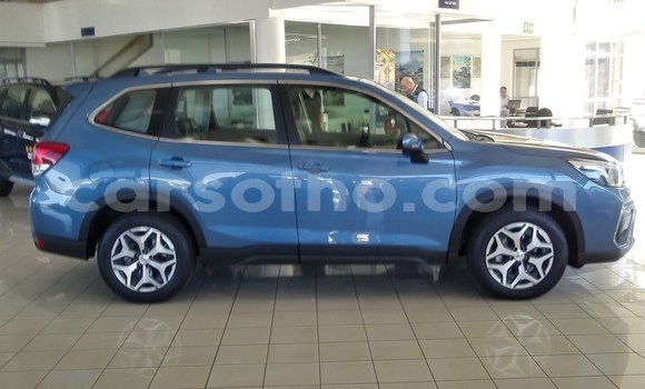 اشتري مستعمل Subaru Forester Other سيارة في Maseru في Maseru اشتري مستعمل Subaru Forester Other سيارة في Maseru في Maseru