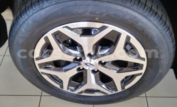 اشتري مستعمل Subaru Forester Other سيارة في Maseru في Maseru اشتري مستعمل Subaru Forester Other سيارة في Maseru في Maseru