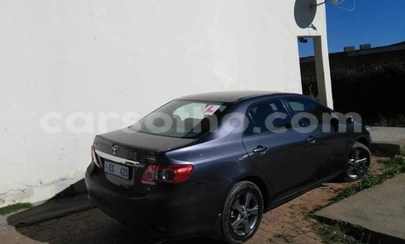 Acheter Import Voiture Toyota Corolla Autre à Maseru, Maseru Acheter Import Voiture Toyota Corolla Autre à Maseru, Maseru