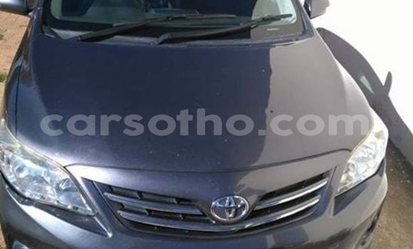 Acheter Import Voiture Toyota Corolla Autre à Maseru, Maseru Acheter Import Voiture Toyota Corolla Autre à Maseru, Maseru