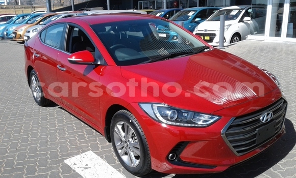 اشتري مستعمل Hyundai Elantra Red سيارة في Maseru في Maseru اشتري مستعمل Hyundai Elantra Red سيارة في Maseru في Maseru