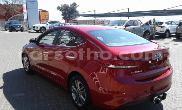 اشتري مستعمل Hyundai Elantra Red سيارة في Maseru في Maseru اشتري مستعمل Hyundai Elantra Red سيارة في Maseru في Maseru