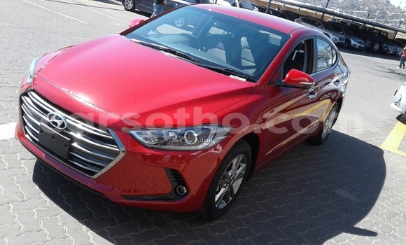 اشتري مستعمل Hyundai Elantra Red سيارة في Maseru في Maseru اشتري مستعمل Hyundai Elantra Red سيارة في Maseru في Maseru