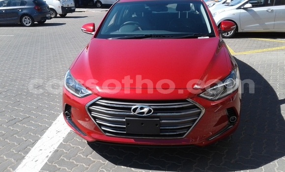 اشتري مستعمل Hyundai Elantra Red سيارة في Maseru في Maseru اشتري مستعمل Hyundai Elantra Red سيارة في Maseru في Maseru