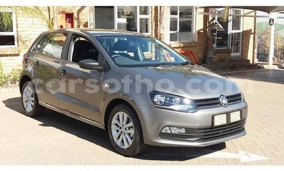 Buy Used Volkswagen Polo Other Car in Maseru in Maseru Buy Used Volkswagen Polo Other Car in Maseru in Maseru