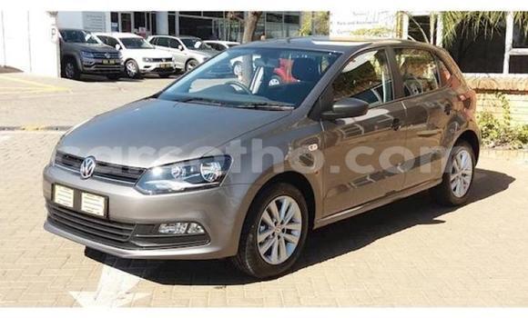Buy Used Volkswagen Polo Other Car in Maseru in Maseru Buy Used Volkswagen Polo Other Car in Maseru in Maseru