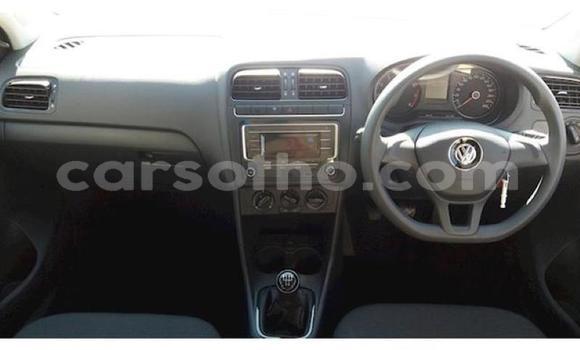 Buy Used Volkswagen Polo Other Car in Maseru in Maseru Buy Used Volkswagen Polo Other Car in Maseru in Maseru
