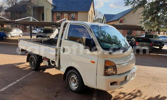 اشتري مستعمل Hyundai H200 White شاحنة في Mohale's Hoek في Mohale's Hoek اشتري مستعمل Hyundai H200 White شاحنة في Mohale's Hoek في Mohale's Hoek