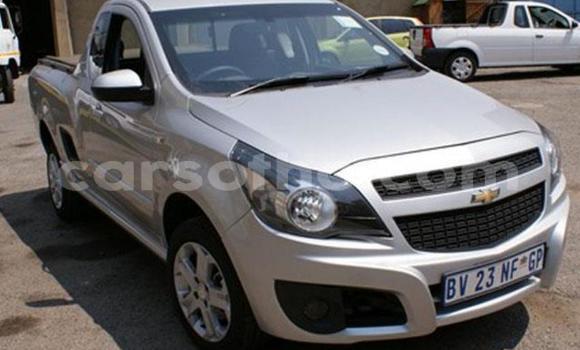 اشتري مستعمل Chevrolet Corsa Silver سيارة في Maseru في Maseru اشتري مستعمل Chevrolet Corsa Silver سيارة في Maseru في Maseru