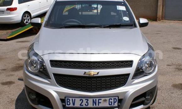 اشتري مستعمل Chevrolet Corsa Silver سيارة في Maseru في Maseru اشتري مستعمل Chevrolet Corsa Silver سيارة في Maseru في Maseru