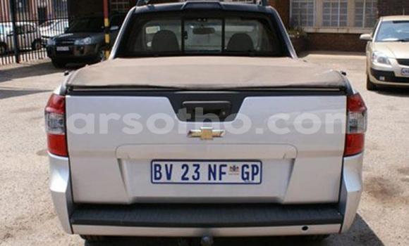 اشتري مستعمل Chevrolet Corsa Silver سيارة في Maseru في Maseru اشتري مستعمل Chevrolet Corsa Silver سيارة في Maseru في Maseru
