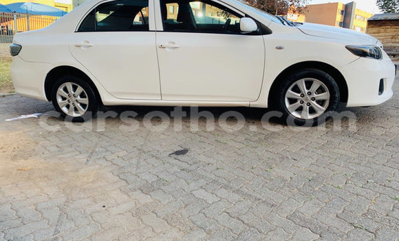 Acheter Occasion Voiture Toyota Corolla Blanc à Maseru, Maseru Acheter Occasion Voiture Toyota Corolla Blanc à Maseru, Maseru