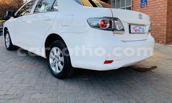 Acheter Occasion Voiture Toyota Corolla Blanc à Maseru, Maseru Acheter Occasion Voiture Toyota Corolla Blanc à Maseru, Maseru