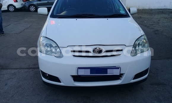 اشتري مستعمل Toyota Runx White سيارة في Maseru في Maseru اشتري مستعمل Toyota Runx White سيارة في Maseru في Maseru