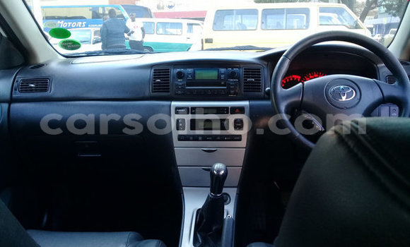 اشتري مستعمل Toyota Runx White سيارة في Maseru في Maseru اشتري مستعمل Toyota Runx White سيارة في Maseru في Maseru