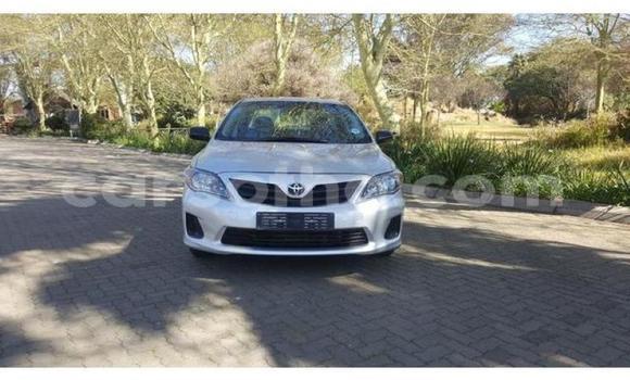 اشتري مستعمل Toyota Corolla Silver سيارة في Roma في Maseru اشتري مستعمل Toyota Corolla Silver سيارة في Roma في Maseru