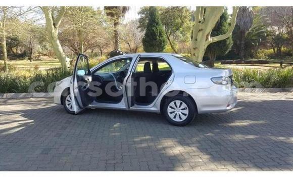 اشتري مستعمل Toyota Corolla Silver سيارة في Roma في Maseru اشتري مستعمل Toyota Corolla Silver سيارة في Roma في Maseru