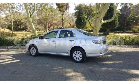 اشتري مستعمل Toyota Corolla Silver سيارة في Roma في Maseru اشتري مستعمل Toyota Corolla Silver سيارة في Roma في Maseru