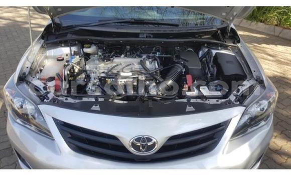 اشتري مستعمل Toyota Corolla Silver سيارة في Roma في Maseru اشتري مستعمل Toyota Corolla Silver سيارة في Roma في Maseru