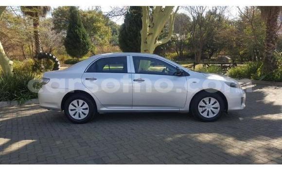 اشتري مستعمل Toyota Corolla Silver سيارة في Roma في Maseru اشتري مستعمل Toyota Corolla Silver سيارة في Roma في Maseru