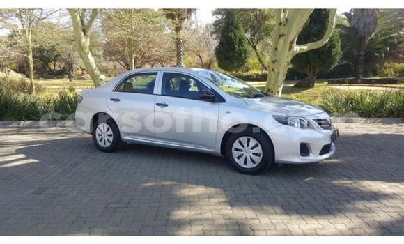 اشتري مستعمل Toyota Corolla Silver سيارة في Roma في Maseru اشتري مستعمل Toyota Corolla Silver سيارة في Roma في Maseru