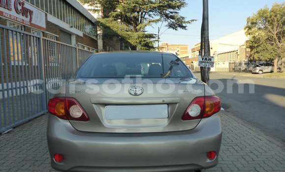 Buy Used Toyota Corolla Silver Car in Maseru in Maseru Buy Used Toyota Corolla Silver Car in Maseru in Maseru