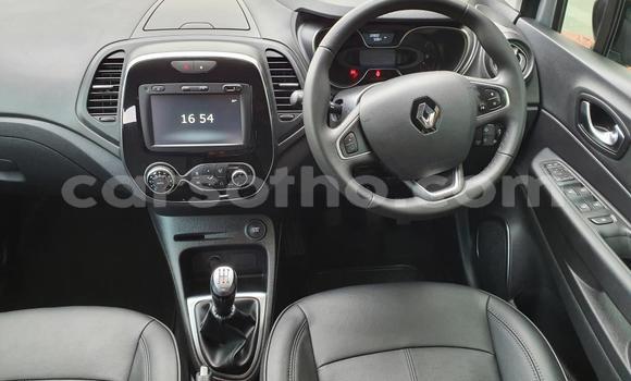 اشتري مستعمل Renault Captur Other سيارة في Maseru في Maseru اشتري مستعمل Renault Captur Other سيارة في Maseru في Maseru