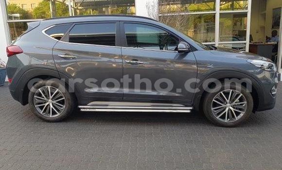 اشتري مستعمل Hyundai Tucson Silver سيارة في Mafeteng في Mafeteng اشتري مستعمل Hyundai Tucson Silver سيارة في Mafeteng في Mafeteng