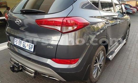 اشتري مستعمل Hyundai Tucson Silver سيارة في Mafeteng في Mafeteng اشتري مستعمل Hyundai Tucson Silver سيارة في Mafeteng في Mafeteng
