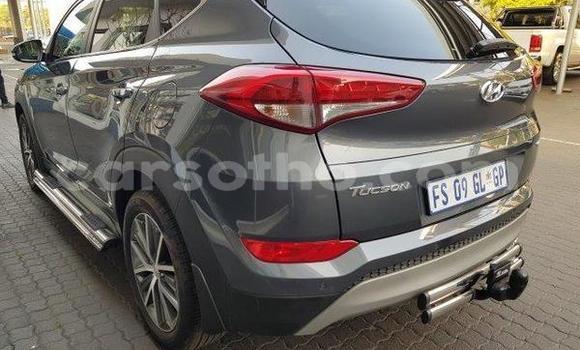 اشتري مستعمل Hyundai Tucson Silver سيارة في Mafeteng في Mafeteng اشتري مستعمل Hyundai Tucson Silver سيارة في Mafeteng في Mafeteng