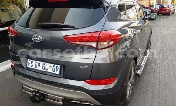 اشتري مستعمل Hyundai Tucson Silver سيارة في Mafeteng في Mafeteng اشتري مستعمل Hyundai Tucson Silver سيارة في Mafeteng في Mafeteng