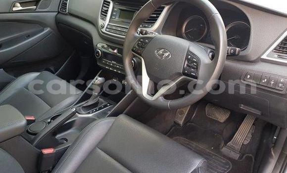 اشتري مستعمل Hyundai Tucson Silver سيارة في Mafeteng في Mafeteng اشتري مستعمل Hyundai Tucson Silver سيارة في Mafeteng في Mafeteng